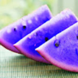 Meet your Posher, Tapizstaks